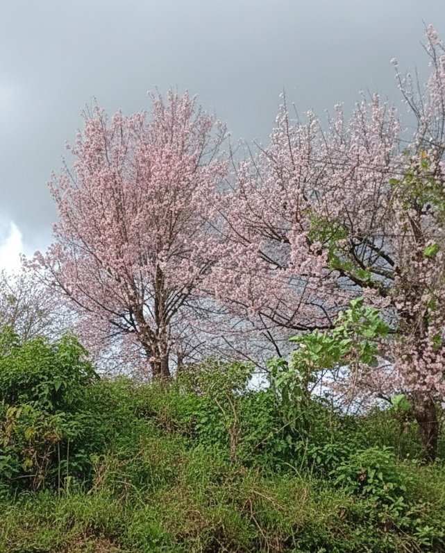 mfs i came out to touch some grass after so long 

and y'all nuked all my bags