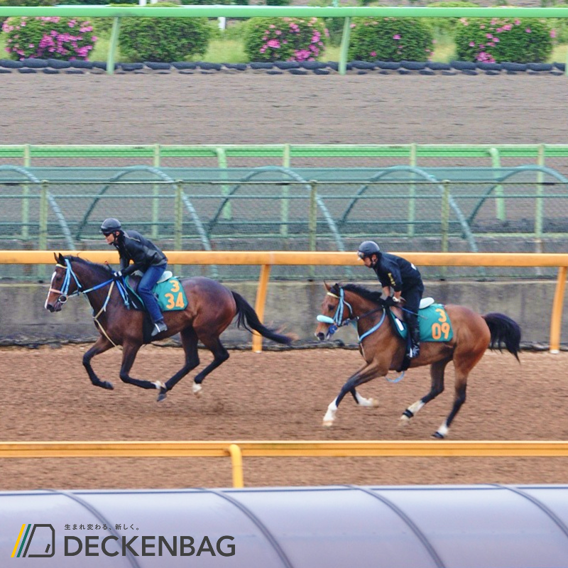 deckenbag's tweet photo. 先月の一番人気は緑ゼッケンでした🟩
緑地にオレンジの数字が映えます！

同じバッグでも、ゼッケンの色が変わるだけで印象が変わりますよ🏇
ぜひ、自分にぴったりのバッグを見つけてください◎

#ゼッケンバッグ
#jra
#美浦トレセン
#競馬好きと繋がりたい 
#競馬 https://t.co/qiR7bIS2Kk