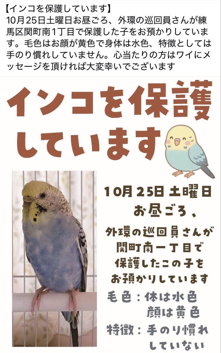 hino.𓅫 (@hinok_birds) / Posts / X