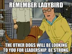 _Boomhauer's tweet photo. https://t.co/A1RdVJo835