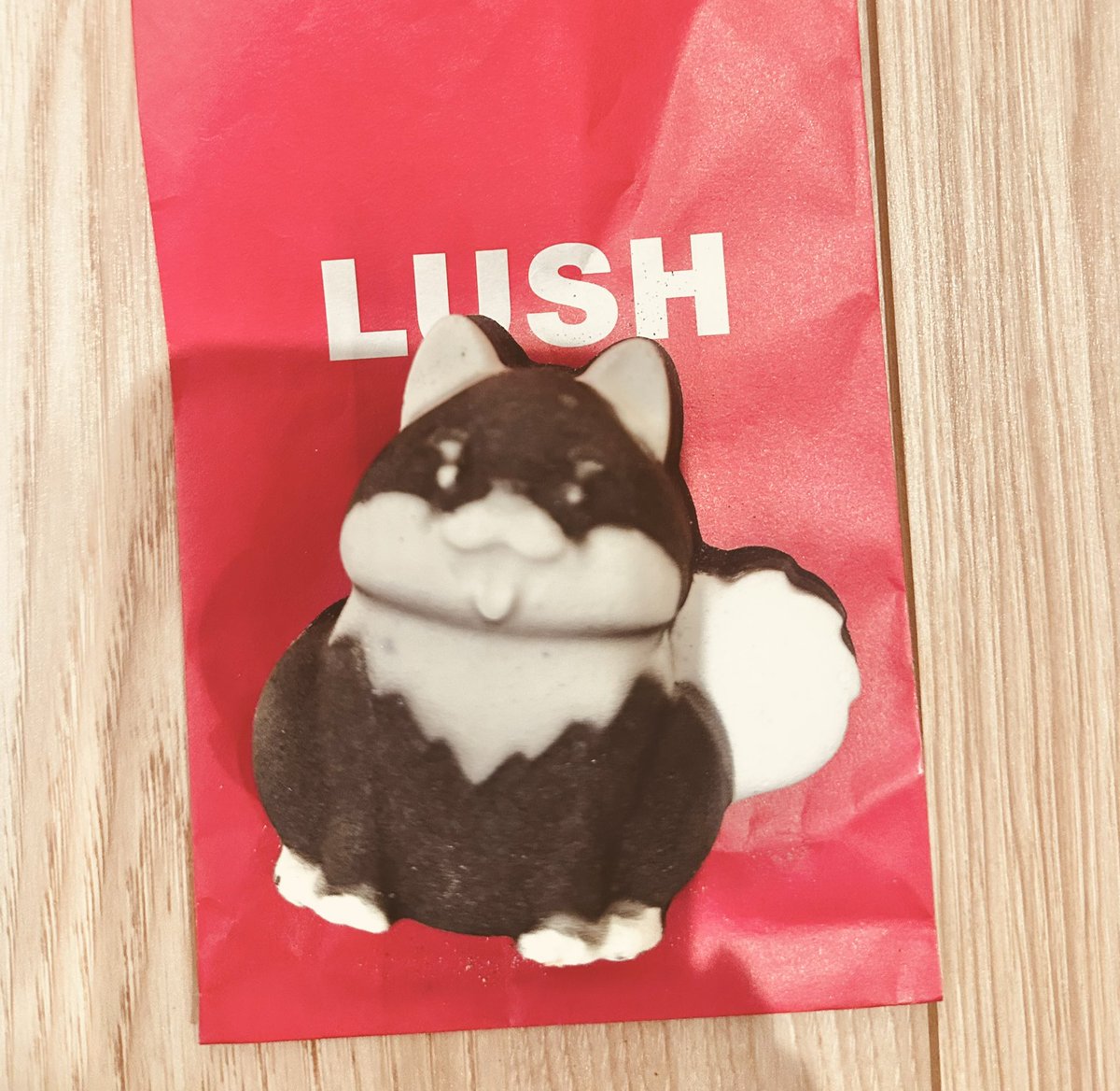 春風スペース🌽🏮😈🌲🌃 (@harukazeSP0313) / Posts / X