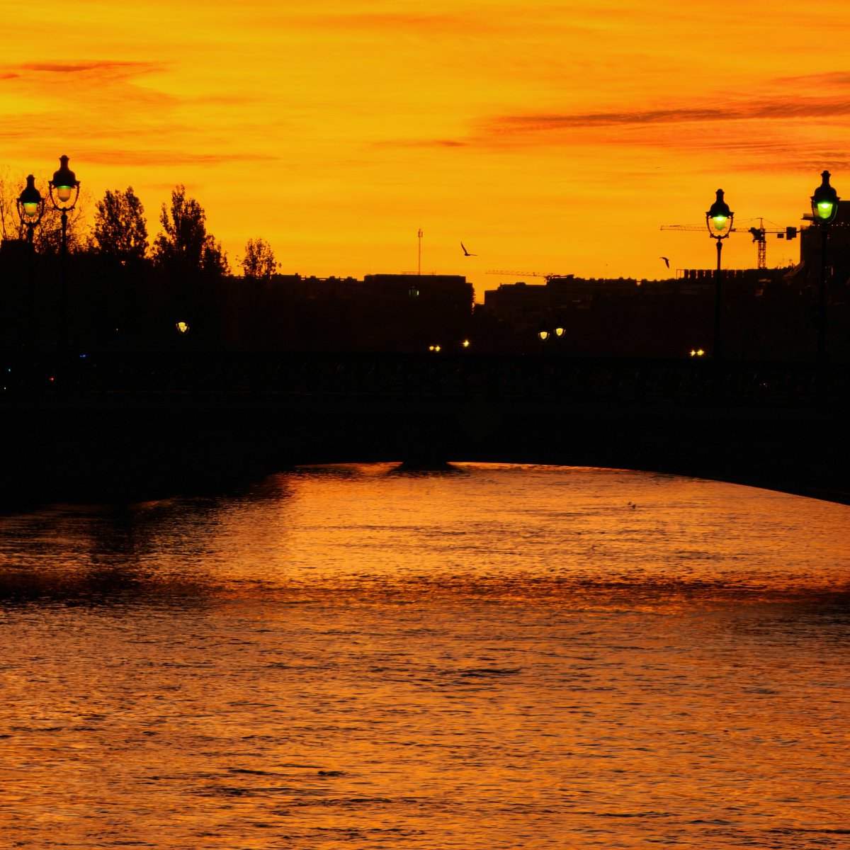 Cette lumière du matin si agréable ! Ce petit moment suspendu avant d'aller bosser qui fait du bien ! 🙏🌇