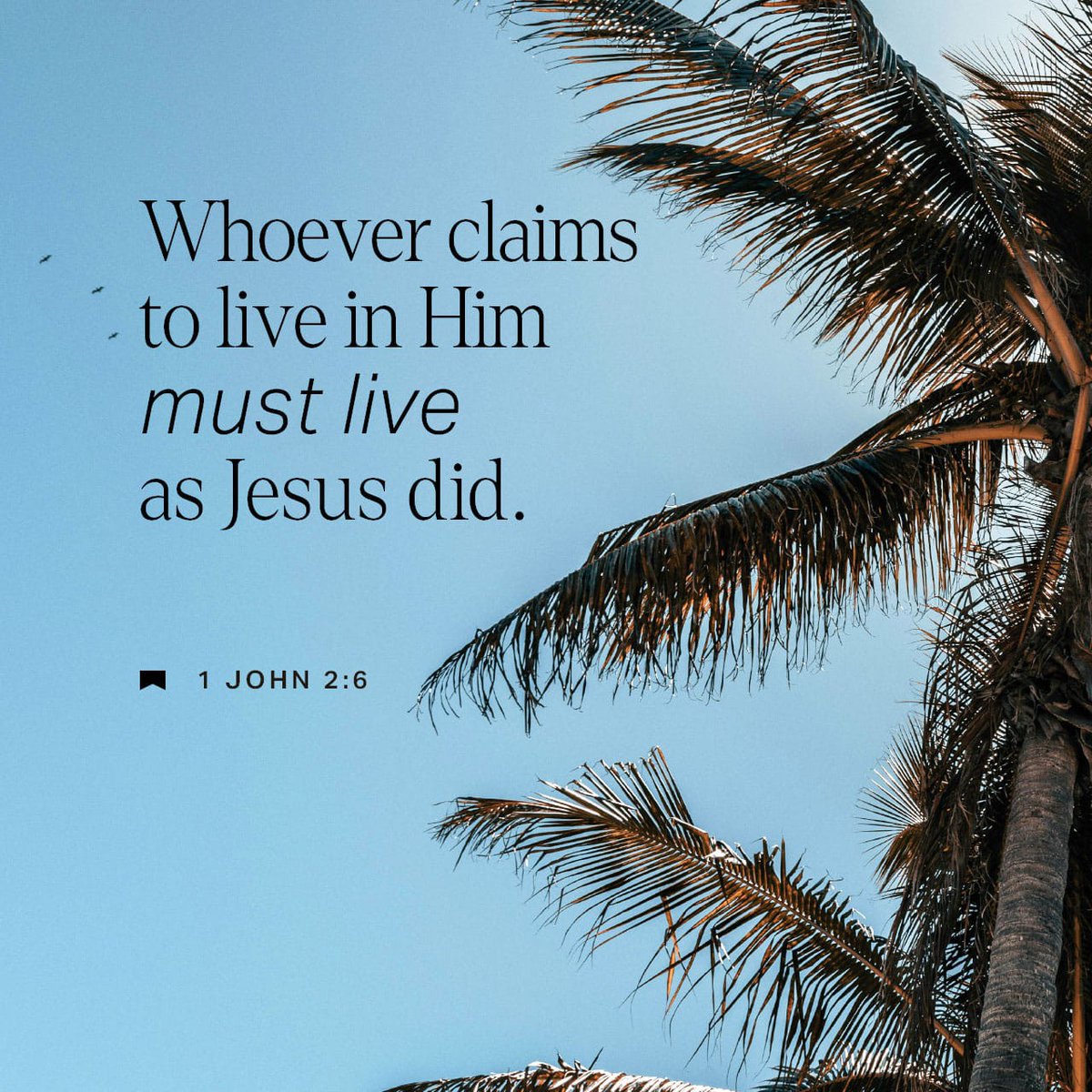 Thevine_ntwk's tweet photo. 1 JOHN 2:6

#AVERSEADAY day 13. https://t.co/pwlX0wPLZa