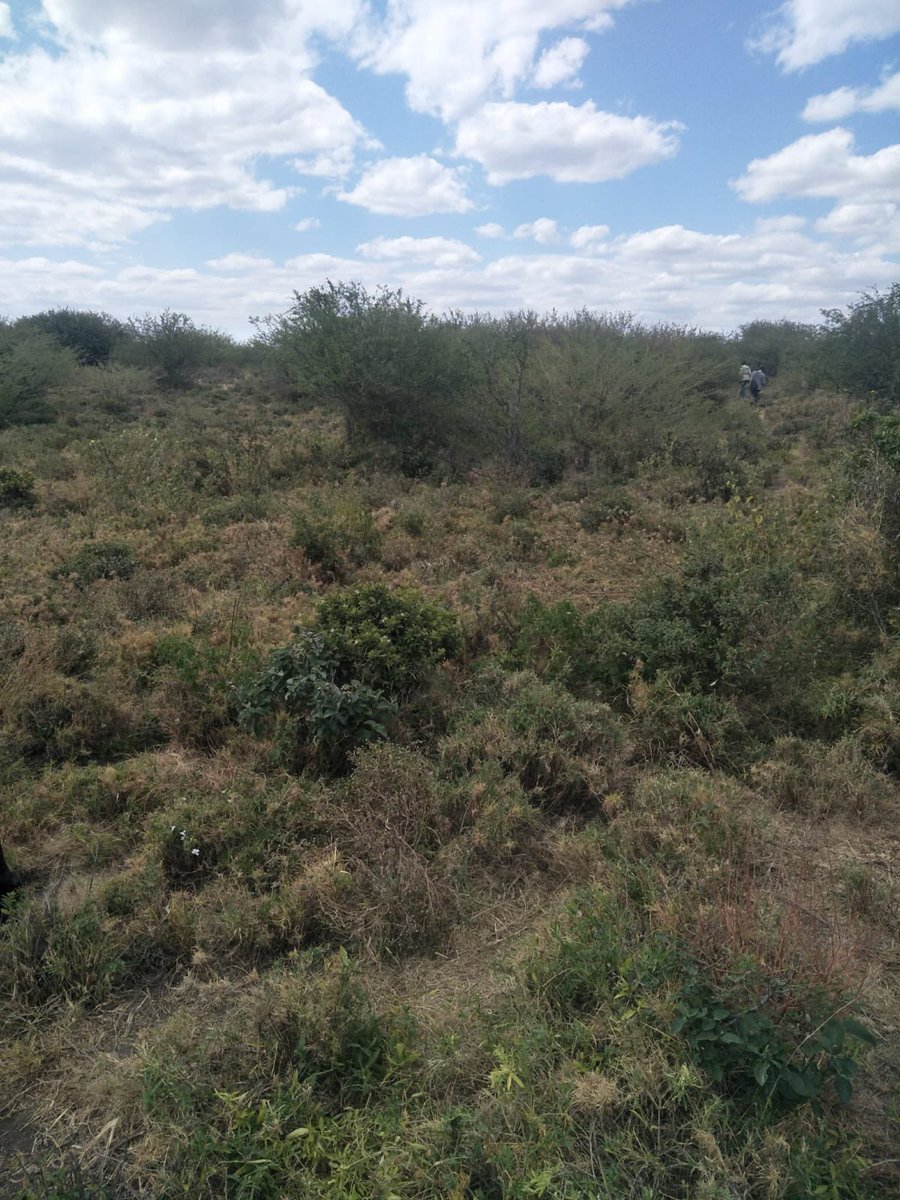 50 acres of prime land for sale in Namanga, along Amboseli Road.

Scenic views, clean title, tarmac access.

Perfect for investment, farming, or a quiet retreat.

Price: KSh 650,000 per acre.

WhatsApp +254722928785 / +254723407403 for viewing and details.