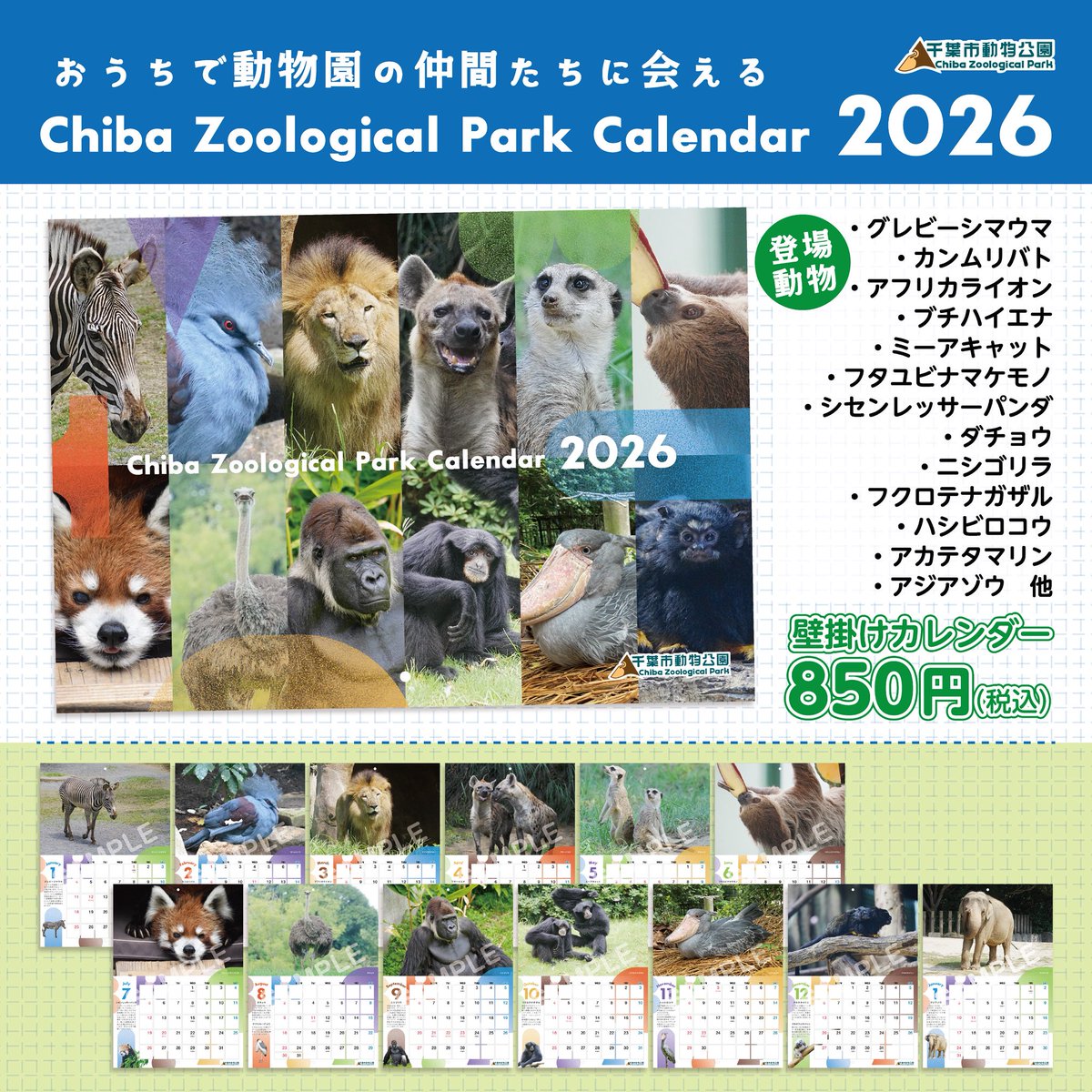 千葉市動物公園【公式】 on X