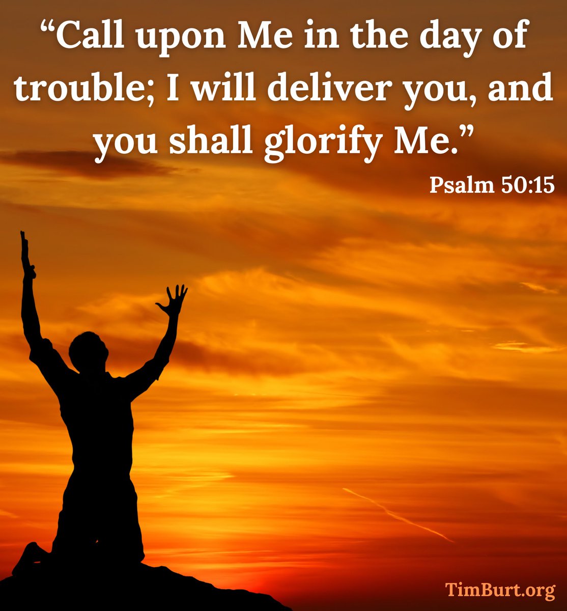 TimBurt's tweet image. 