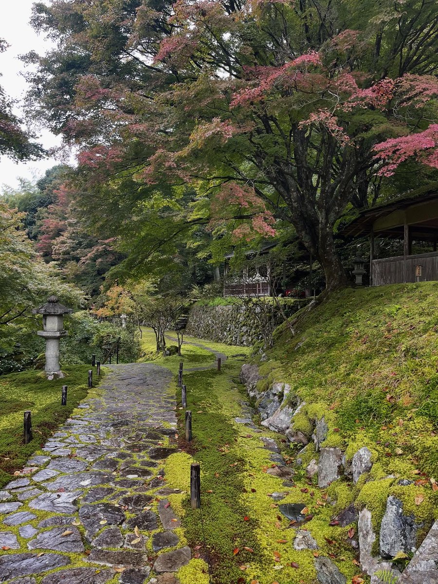 白龍園／京都・鞍馬・二ノ瀬にある日本庭園【公式】 on X