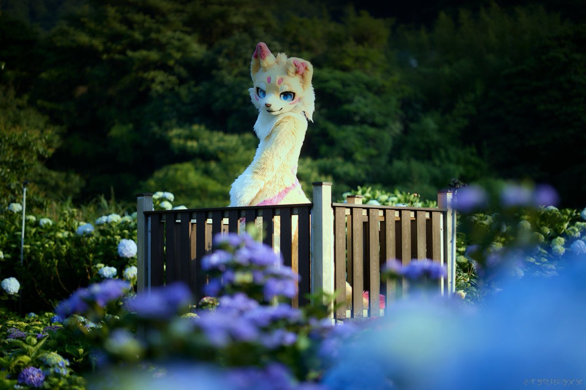 📸:<a href="/TorrFoxx/">圖爾 UTFG 🔜 Infurnity 2025</a>