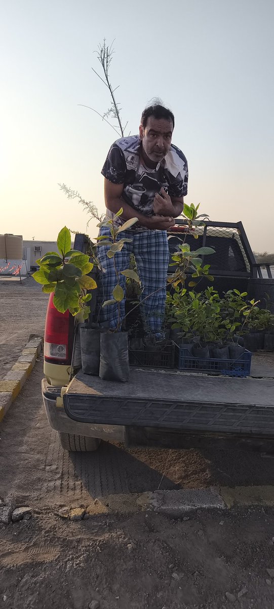 mhzmmi's tweet photo. بالتعاون مع @ea_oman هيئةالبيئةبمحافظة شمال الباطنةوشركةماسةالقرم نفذت @SidrOman جمعيةالسدرالعمانيةمتمثلةفي #مبادرة_المحزم المرحلةالاولى من استزرا للاشجار البرية في موقع الشركة بولاية #صحم  بمناسبة #يوم_الزراعة_العماني فشكرالجميع المشاركين @BatinahN_gov @NB_Municipality https://t.co/etXKSruYbV