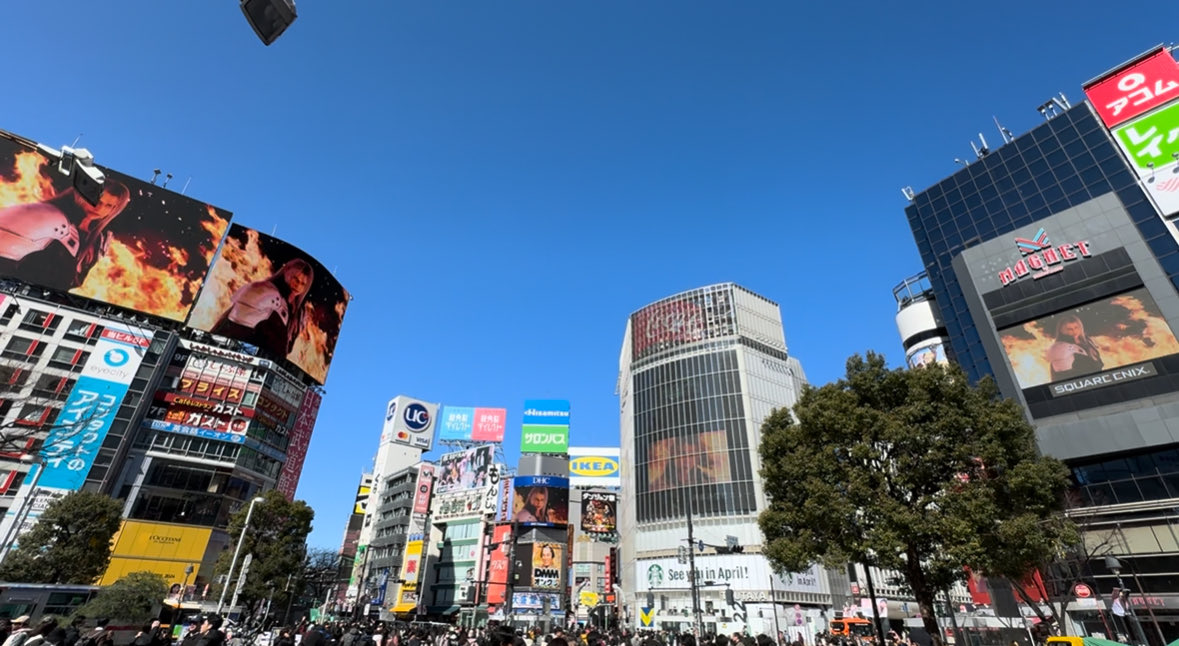 鷹山🦅 tweet media