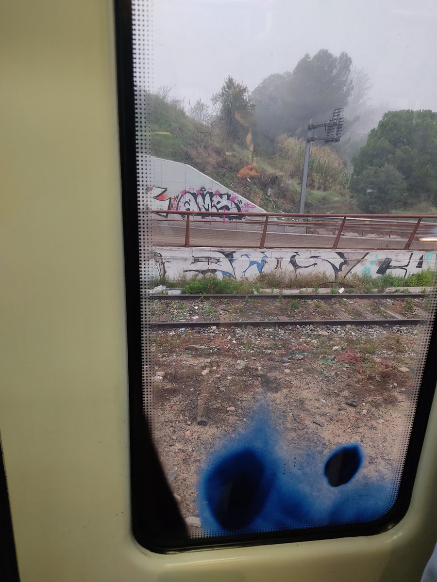 PSlvia's tweet photo. Alegria de viure amb @Renfe 
Ara mateix a la @rod2nordcat el maquinista s'ha passat la parada de #Mollet. 
La gent a l'andana flipant, els del tren estem atrapats amb vista a les via i la carretera d'entrada a Mollet.
Qué pasará, qué misterio habrá.... https://t.co/ZJTSUNyJgw