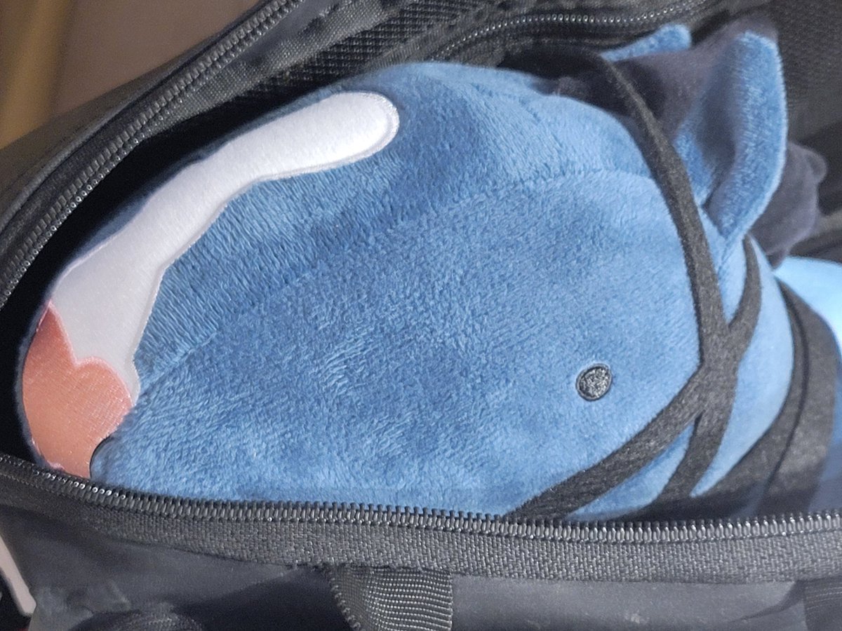 さぁ帰ろう、イクイノックス。
お疲れ様でした🐴