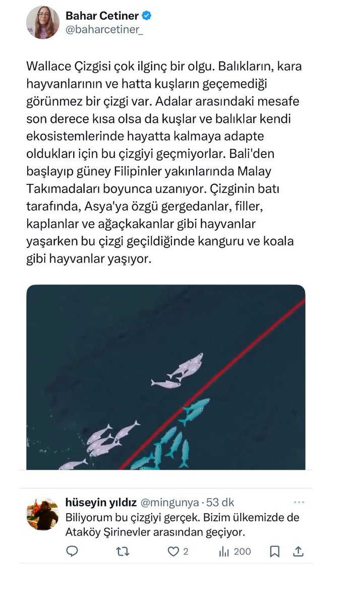 günaydın kainat :)