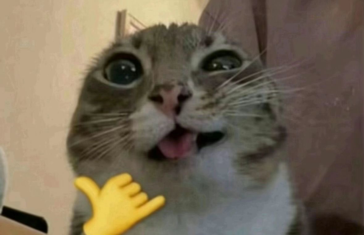 jiey²⁶ ❀ tweet media