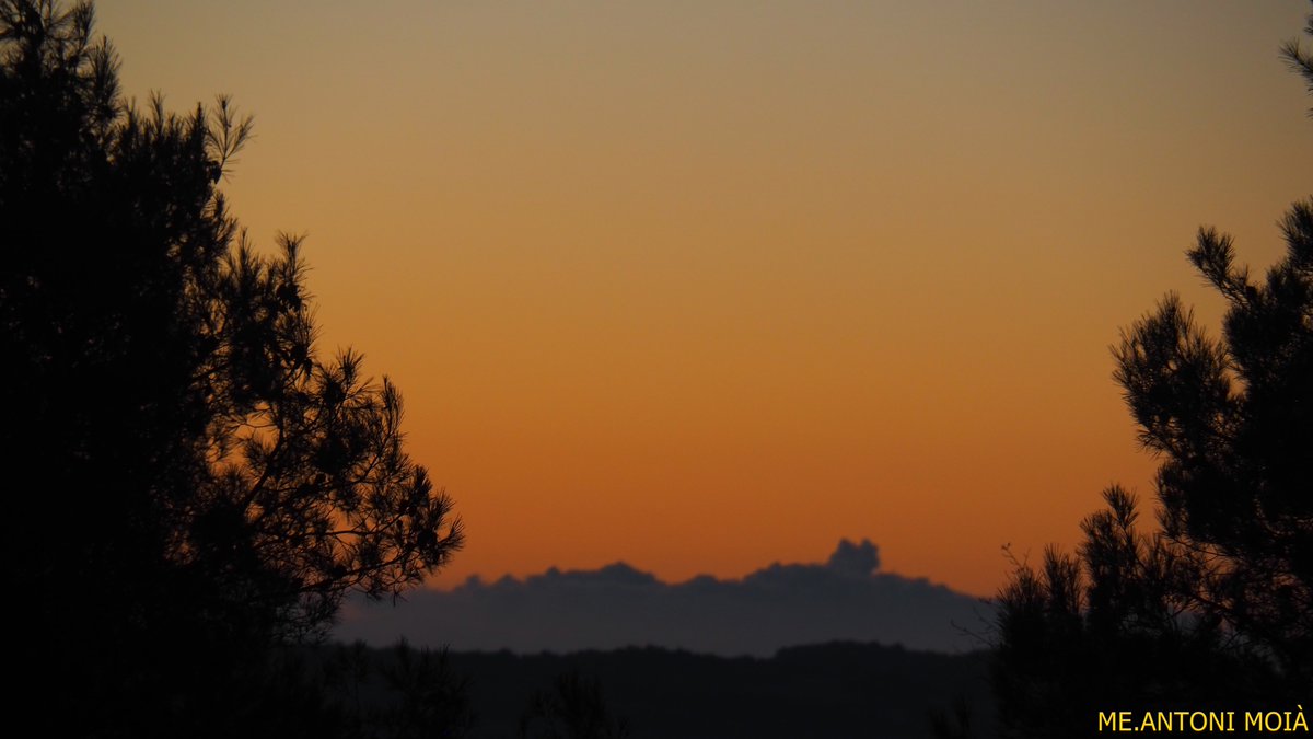 EA3CH's tweet photo. Bon dia !Tp.5.9ºC Hum. 91% #Moià #Moianès https://t.co/6AdZjpiUGq