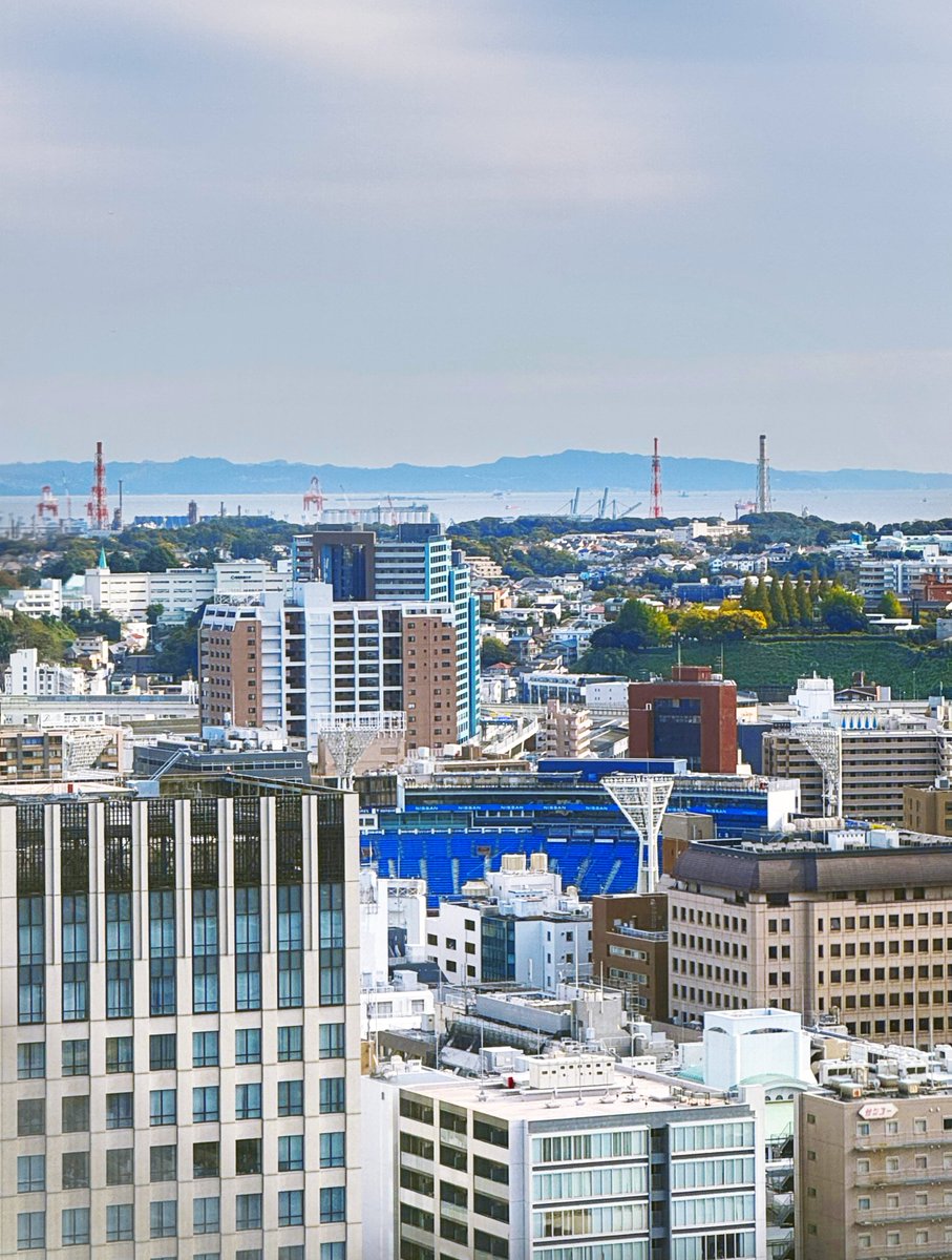 📸 #JRTT 本社から見える #横浜スタジアム 

🚊鉄道と⚾️野球には深いかかわりが⁉️🧐

球団を保有する🐯鉄道会社🦁があるのに加え、観客のアクセスや選手の遠征にも鉄道が使われています✨

横浜スタジアムへのアクセスにも #JRTT が建設した #根岸線 や #みなとみらい線 が活躍していますね🥰
