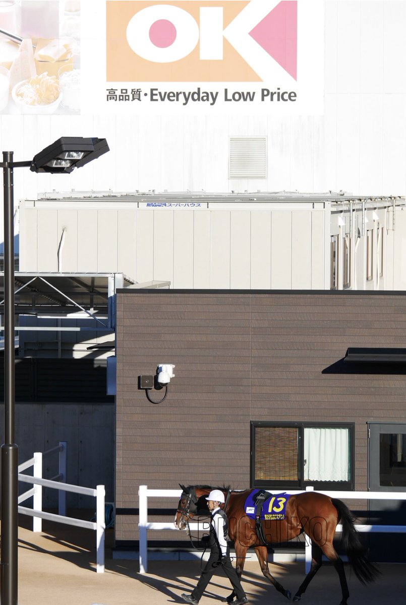 牧場ウマウマ Is there a G1-caliber horse hiding in this generation? A thorough