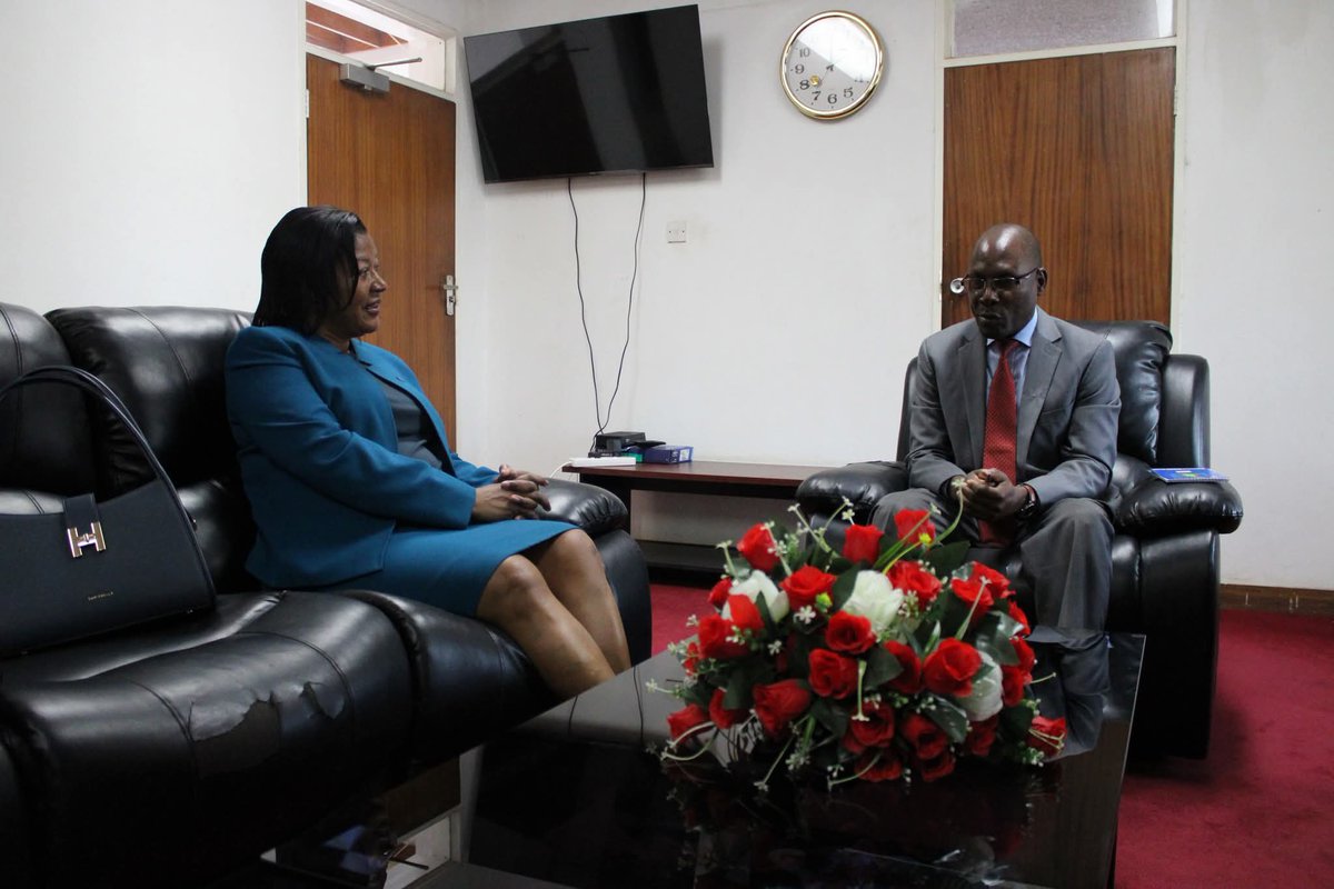 Department of Mining-Malawi tweet media