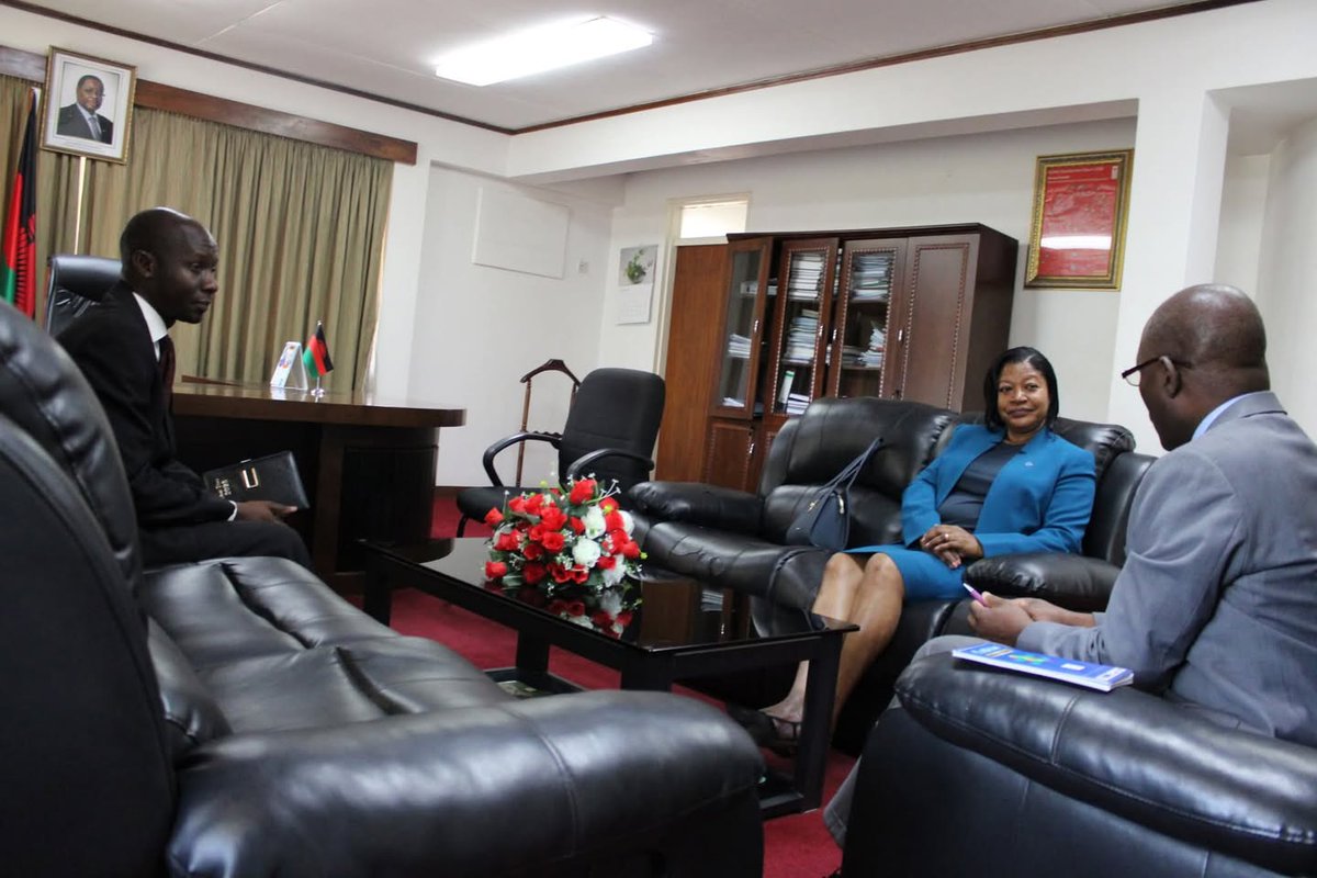Department of Mining-Malawi tweet media