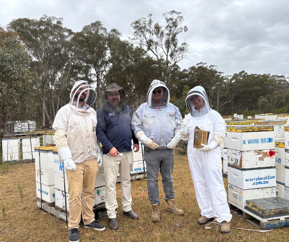 Pioneer® Graduate Production Agronomist Brett Thompson, Production Agronomist Declan Bennet and Southern Production Lead Amelia Richardson were recently invited by Warral Maldon to learn about their hive management and queen breeding program. Owner Lindsay Calloway has been