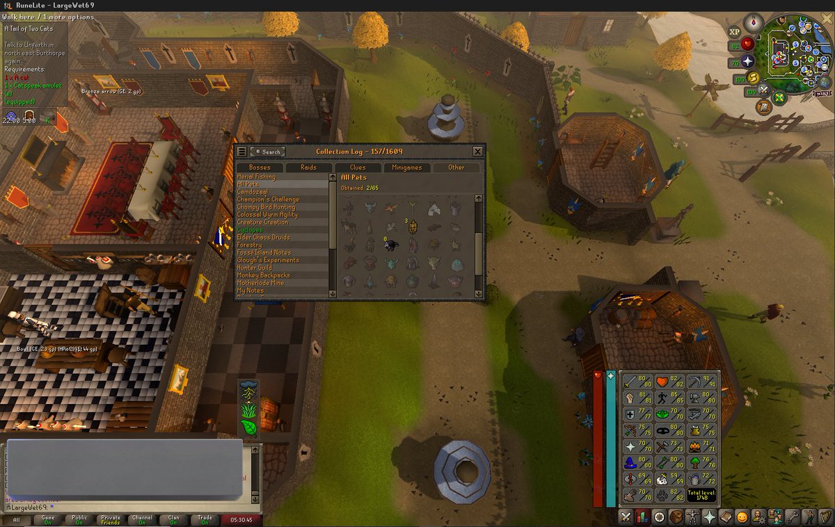AdrianPassama's tweet photo. @behemeth_larzzz  clannie of mine has 8! rocky pets at 80 thieving that 8 pets in 1,986,068 XP btw.... https://t.co/CpZVkcOclK