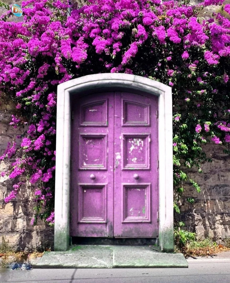 pantelischio's tweet image. Γαλλία
#Doorsandwindows