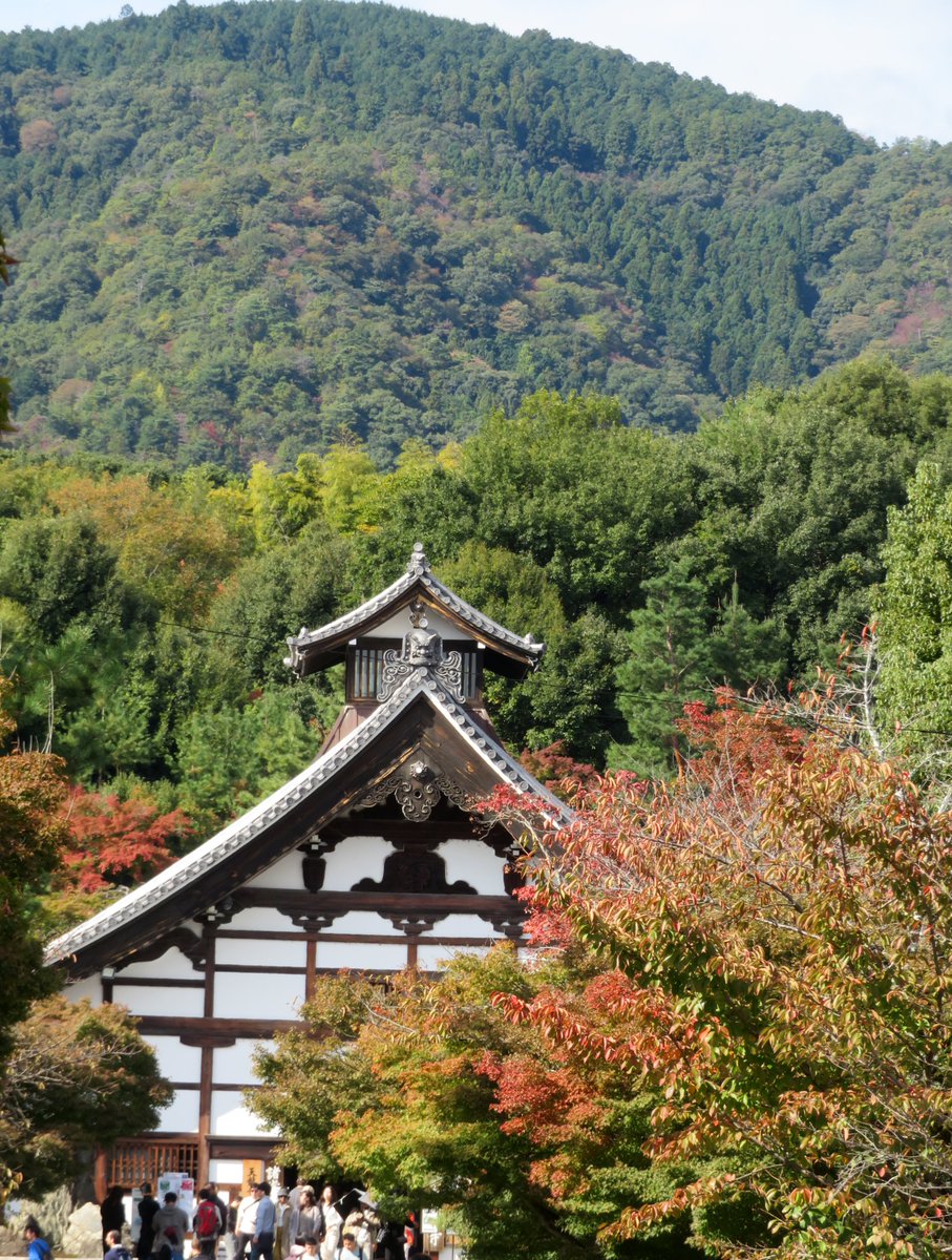 hitomihcx's tweet photo. Tenryu temple/天龍寺/2025.11.01
#Kyoto #京都 #arashiyama #嵐山
#TenryuTemple #天龍寺
#NearbyTemple #近所の寺
#WorldHeritage #世界遺産
#NearbyWorldHeritage #近所の世界遺産
#AutumnLeaves #紅葉
#SilverGrass #ススキ #すすき https://t.co/rFMPtViYix
