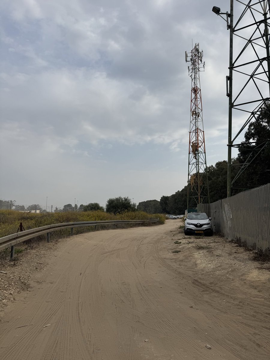 היי מירי, בוקר טוב גם לך <a href="/regev_miri/">מירי רגב</a> .
את יודעת איפה אני? ברכבת חדרה! אבל חניתי משהו כמו קילומטר וחצי משם.. כי אין חניה אחרי 8:30 בבוקר, אז פספסתי את הרכבת. 
אתמול בועדת כספים הועברו עשרות מיליוני שקלים להתנחלויות שוב, אולי הגיע הזמן לבנות איזו חניה ברכבת חדרה?