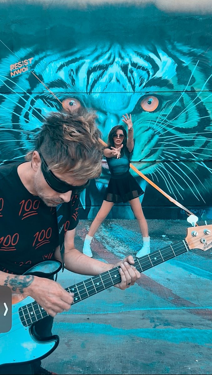 We are Laughing Cats. 🐱