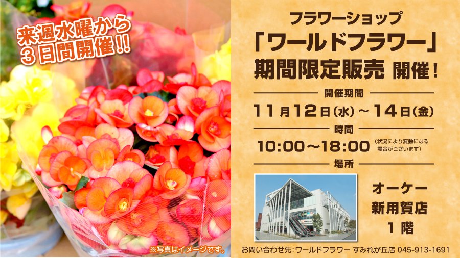 即購入ok！2号ページ 今週の商品情報紙 | オーケー株式会社