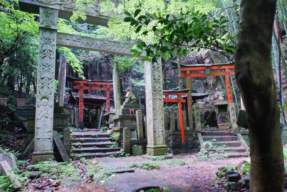 桜神様　木曜日 桜神様 木曜日 桜神様 木曜日 桜神様 木曜日 桜神様 木曜日〜金曜日 Z/X