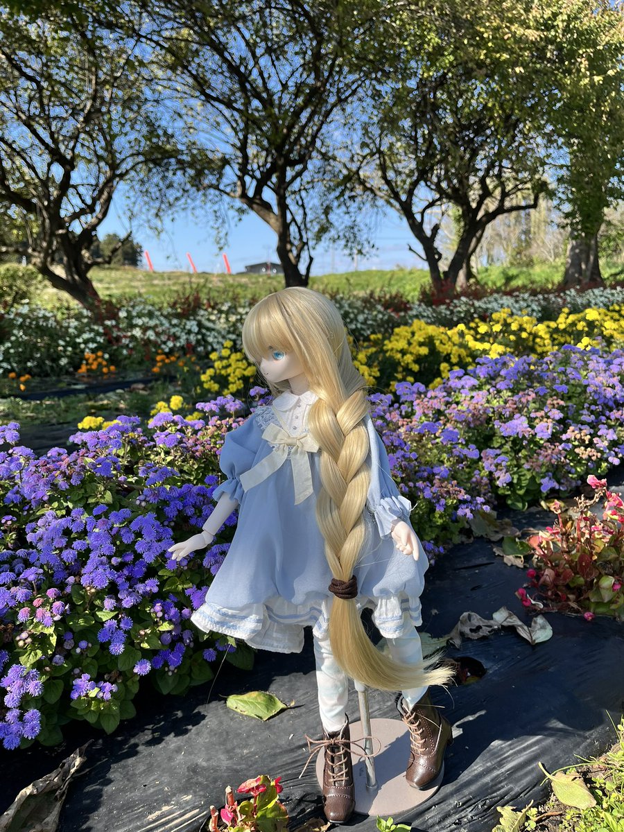 狐るうな🦊{ドール垢} tweet media