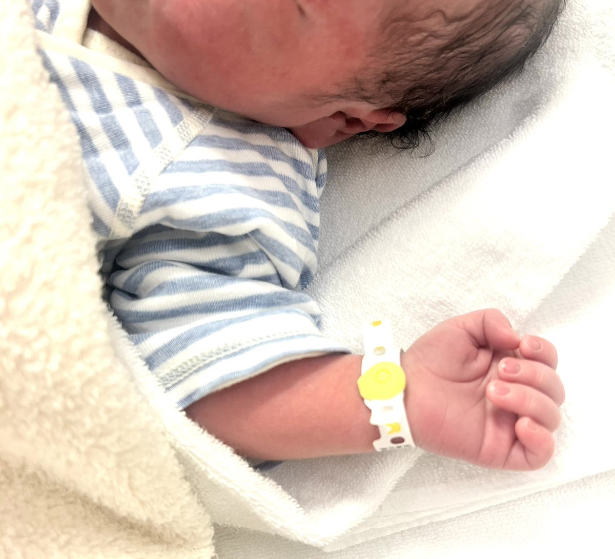 こちらはひよこ出品になります☺︎ maxresdefault.jpg