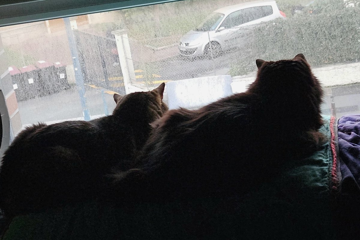 Les commères du quartier de bon matin.