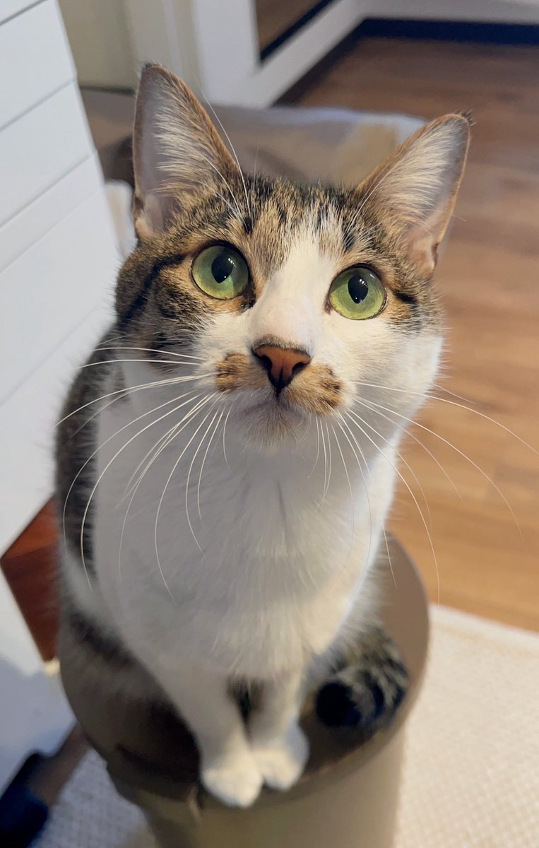 陽菜(またの名をmay) (@hinagi0315) / Posts / X