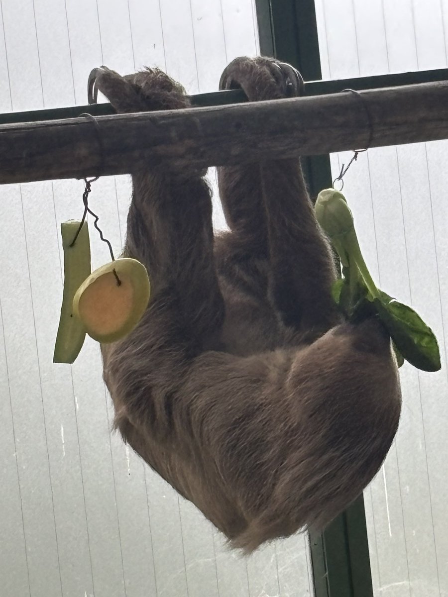 千葉市動物公園【公式】 on X