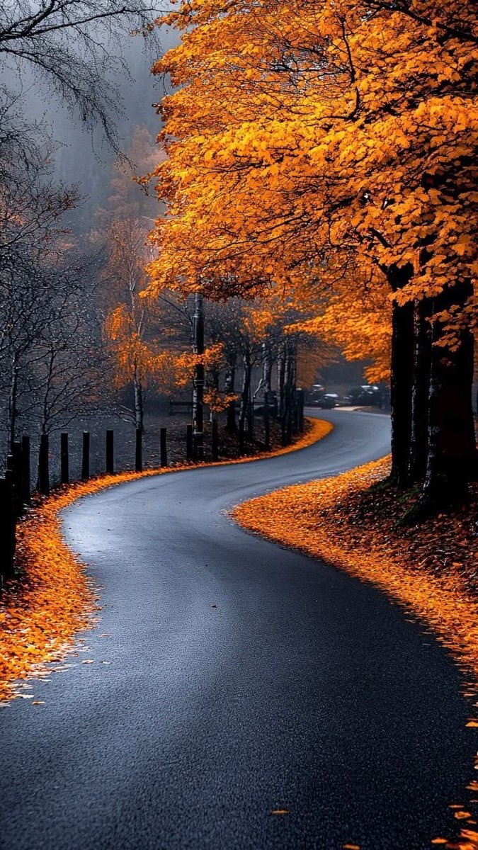 Καλημέρα χαρούμενη Τρίτη με υγεία κ χαμόγελα 🌷🍃🌺☕🍰🎼🌸🍁🍂☔