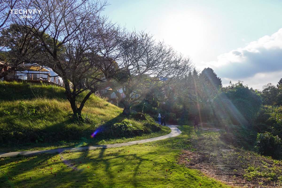 Techvify_Japan's tweet image. 先週末はTechvify Japanのみんなでチームビルディングへ！
自然に囲まれて、笑って、いっぱい喋って、最高のリフレッシュになりました✨
仕事の話も、ちょっと真面目な話も、ゲームも、全部ひっくるめてめっちゃ楽しかった！

次のイベントももう楽しみ！💪

#TechvifyJapan #会社旅行