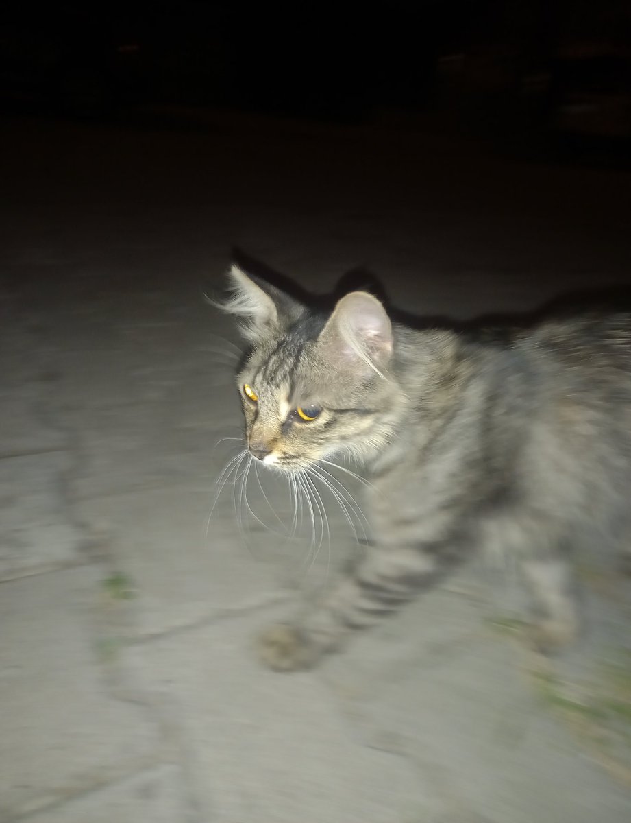 eithersniffs's tweet image. Çektiğim fotoğraflar sizin güzellik alginiza uymak zorunda degil