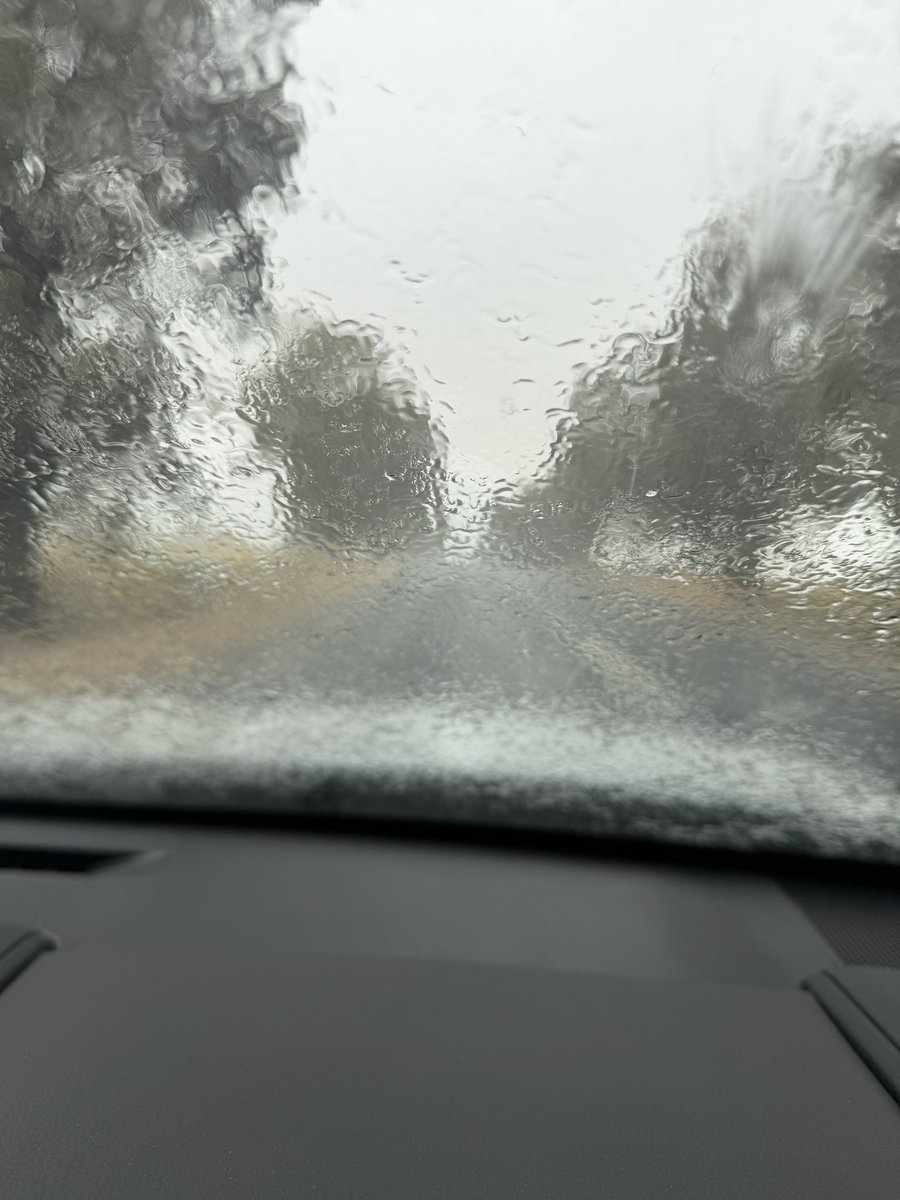 Fantastic 2 days around NE Vic &amp; Southern NSW scoring nearly 10,000 <a href="/PacificSeeds/">Pacific Seeds</a> canola plots for lodging blackleg and podding HI, in amongst storms, wind and challenging conditions !! - 3 more days to go !! ⛈️  <a href="/LiddleCanolaMan/">Willow Liddle</a> <a href="/schilgee/">iKarl iSchilg</a> <a href="/danrollsroyce/">Dan Rolls</a> <a href="/FotiouMila/">Mila Fotiou</a> <a href="/beeck_frans/">Frans Willem Van Beeck</a>