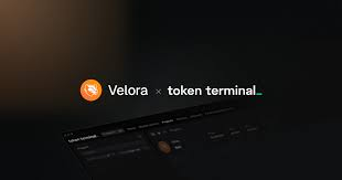 Been exploring <a href="/velora_xyz/">Impasta</a> recently, and it genuinely feels like the next big step for Web3 🌐

The interface is clean, the experience is smooth, and everything just works effortlessly.
Velora is building something that bridges simplicity with powerful decentralized access