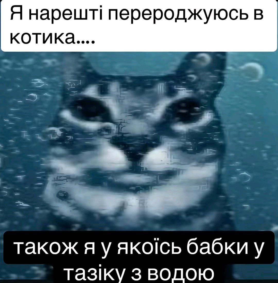 бро скинул мем (@bromemss) on Twitter photo 