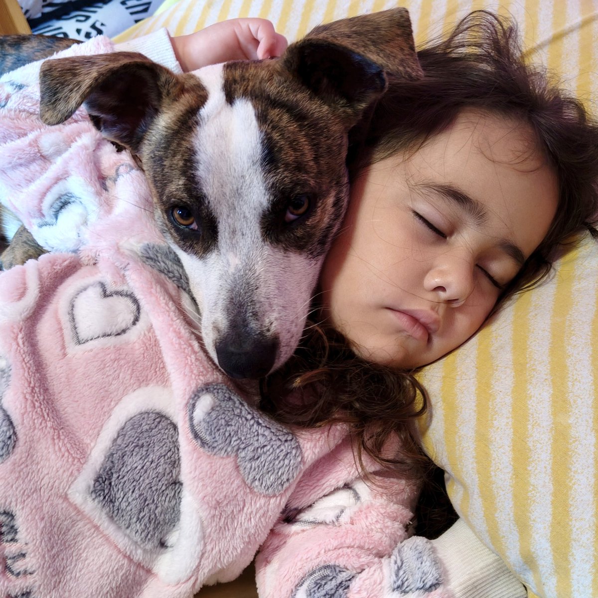 Stamattina al risveglio della cucciola di casa ❤️