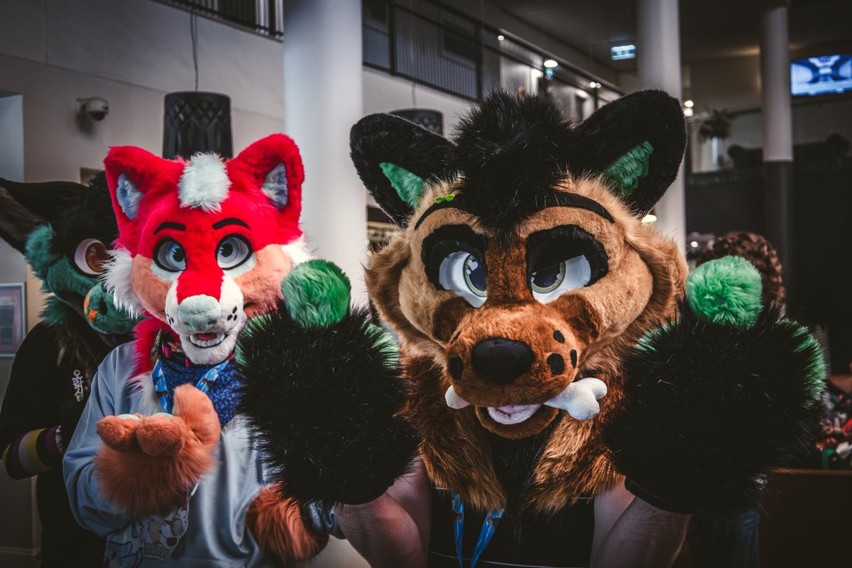 these damm fuzzies....

📸@donnythehusky

feat. Ajax (couldn't find twitter) and <a href="/PrinceArchieFox/">Archie</a>