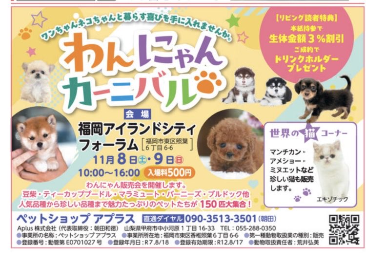 確認ページ♡わんこ＆にゃんこ きなこもち on X