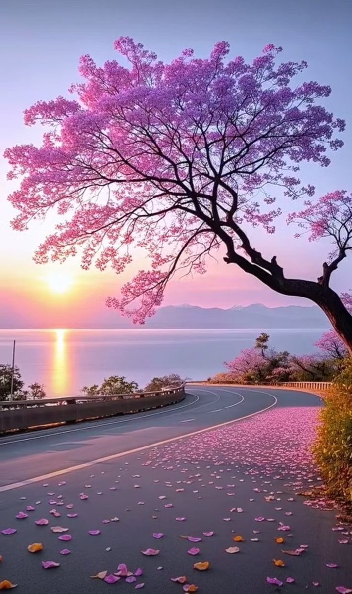 Güzel ve incelikli 
ne vardıysa içimde,
hoyratça kırıp geçirdi dünya.

Memnunum, barışığım yine de.

Sabırla yeni yapraklar veririm
yüzlerce kez kırılmış dallarımdan..

Hermann Hesse