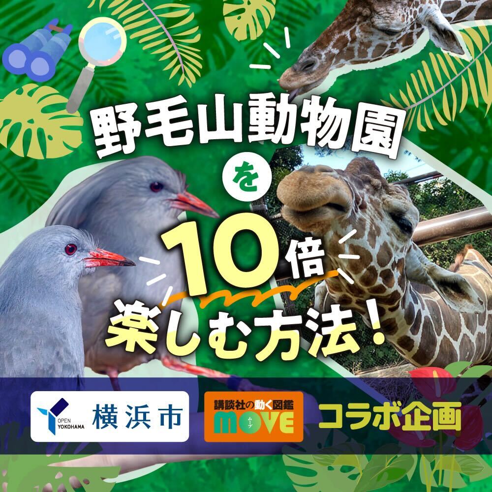 ドリトル柴田 tweet media