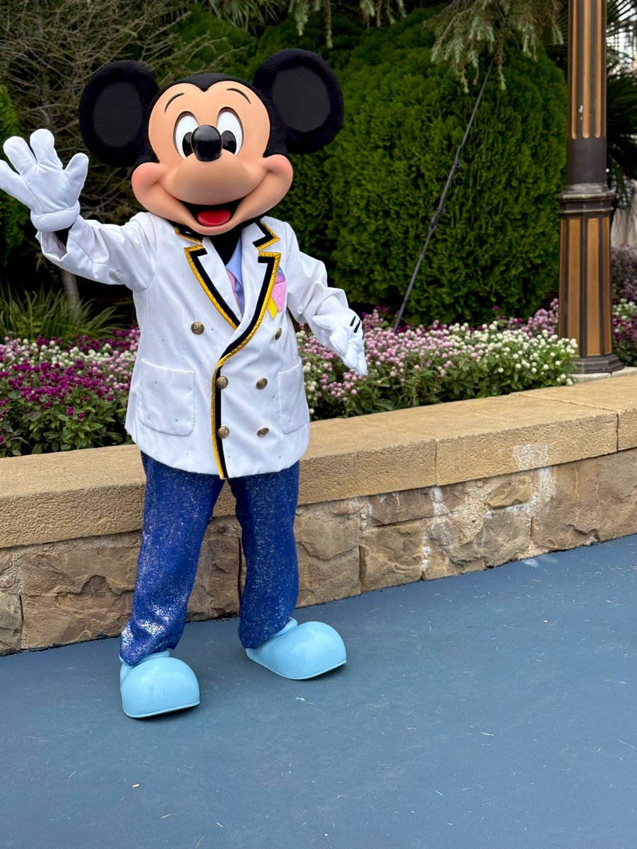 ppYZF_R6's tweet photo. 余韻🐭🏰 https://t.co/TxEeM5Lkug