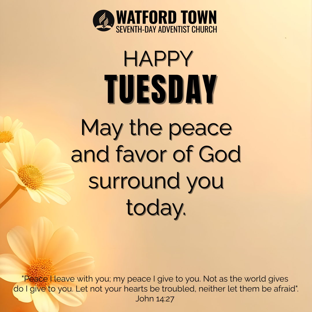 WTChurch's tweet photo. Tuesday Testimony – “Stories of Hope”
This week, we celebrate the moments God showed up when hope felt lost.
💬 Share your story — how has God renewed your hope lately?
#TuesdayTestimony #GodRenewsHope #FaithFlow https://t.co/JvbLM2JqM7