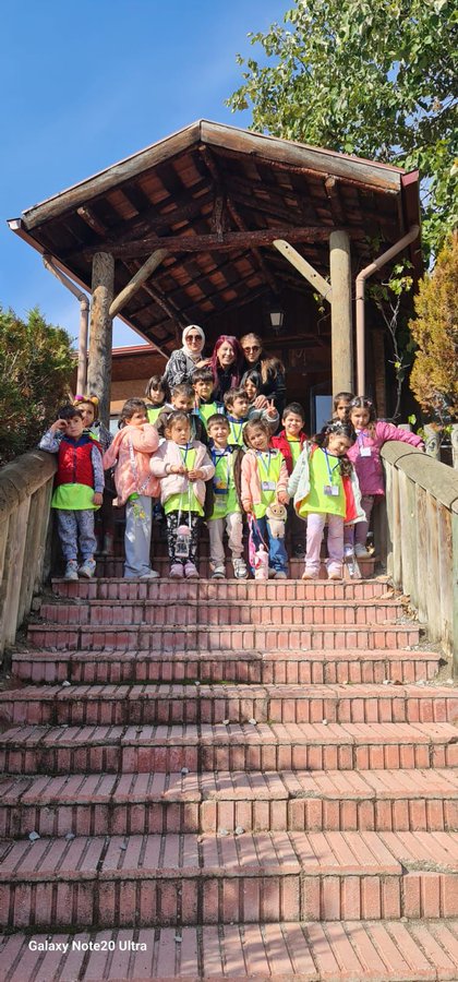 Group of young children in colorful vests and casual clothes stand smiling on wooden steps under a covered pavilion with trees and blue sky in background several adults in headscarves and casual attire pose with them. Children in vests sit at wooden tables drawing with crayons and colored pencils on paper surrounded by art supplies and books one table has a blackboard easel labeled Orman Okulu 2025. Children in vests draw at another wooden table with crayons pencils and books blackboard shows Orman Okulu 2025. Group of young children in vests sit in red seats of a blue cable car playground structure with trees and benches in background two adults in headscarves stand nearby.